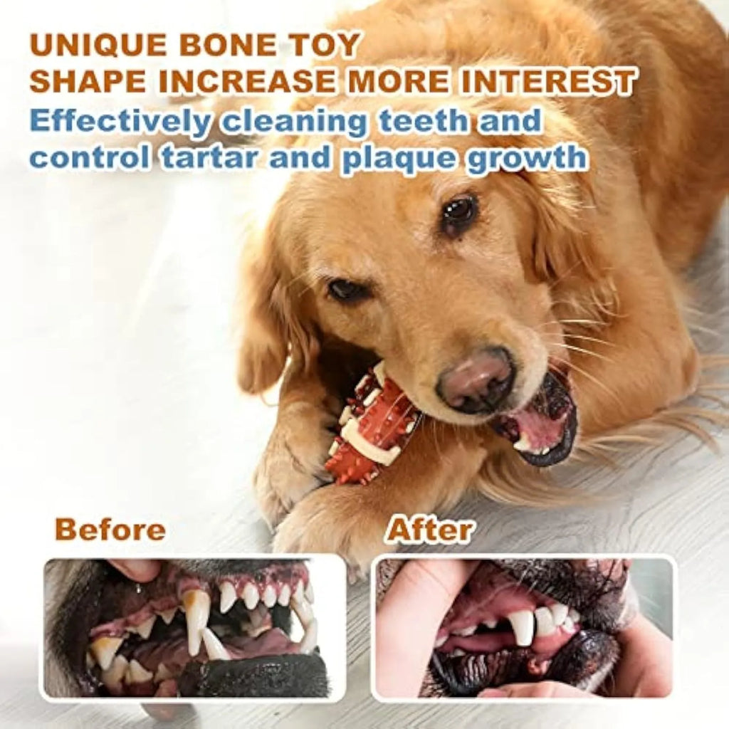 Bone-shaped natural rubber dog molar chew toy for teeth cleaning and anxiety relief in two sizes.