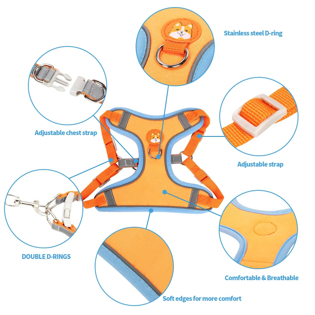 Adjustable rope dog harness and chest strap in multiple colours on a white background.