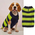 Grey dog sweater with blue horizontal zipper and button pocket on a small dog.