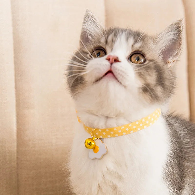 Green adjustable pet collar with a metal bell and a pink bow tie attached, shown on a small dog.