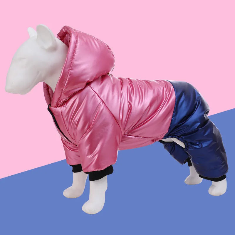 Green waterproof cotton-padded dog coat with four-legged design on medium-sized dog