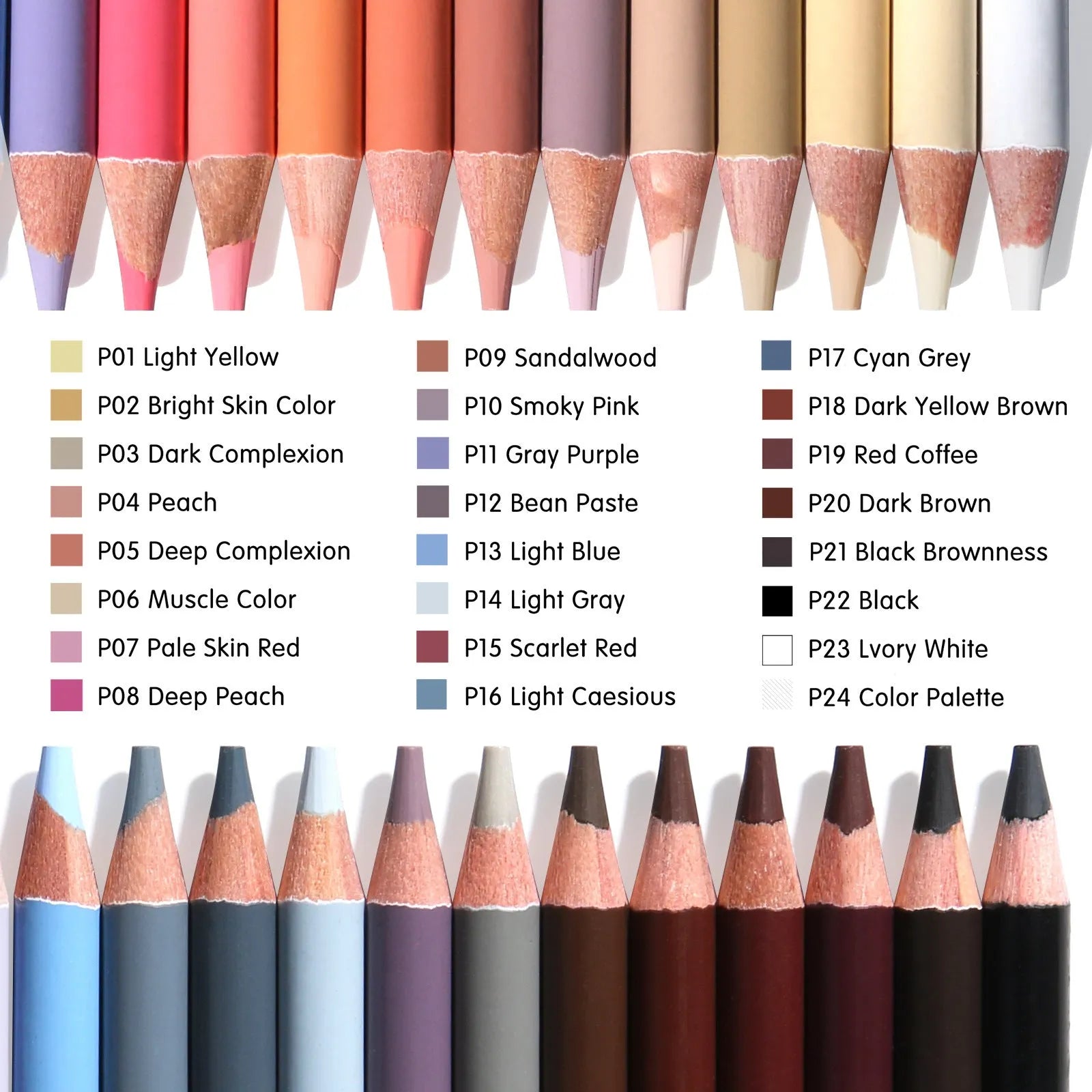 24-colour skin tone portrait pencil set in round iron storage case for hand-painted artwork