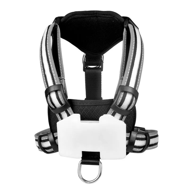 Nylon dog leash with multicolour LED lights and retractable hand holding rope