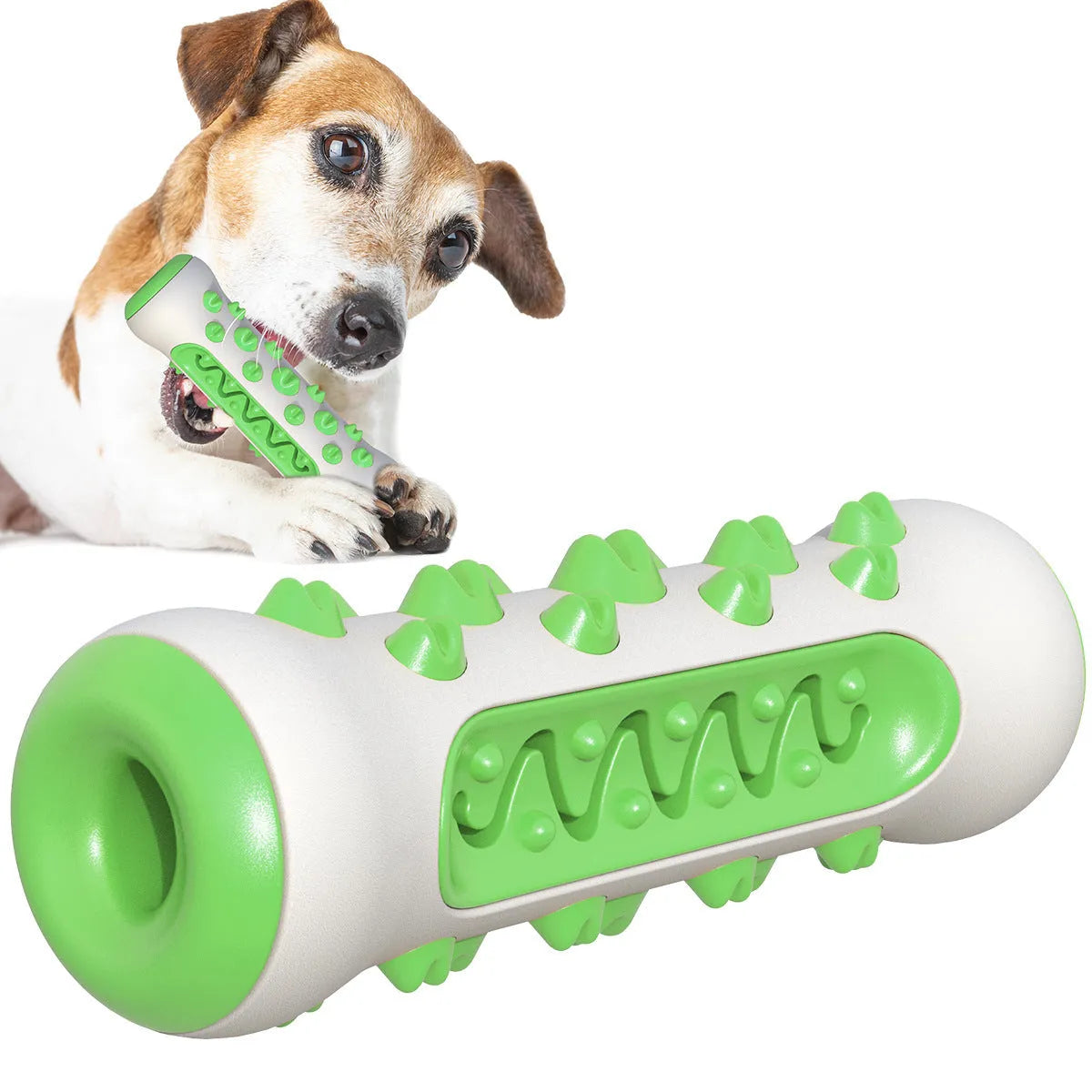 Natural rubber dog toothbrush chew toy in blue, shown next to a small dog for scale