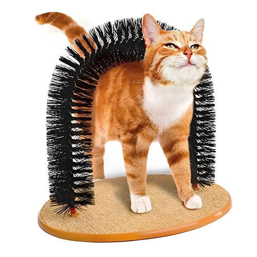 White cat using a plastic grooming arch with built-in brush to scratch and rub its back.
