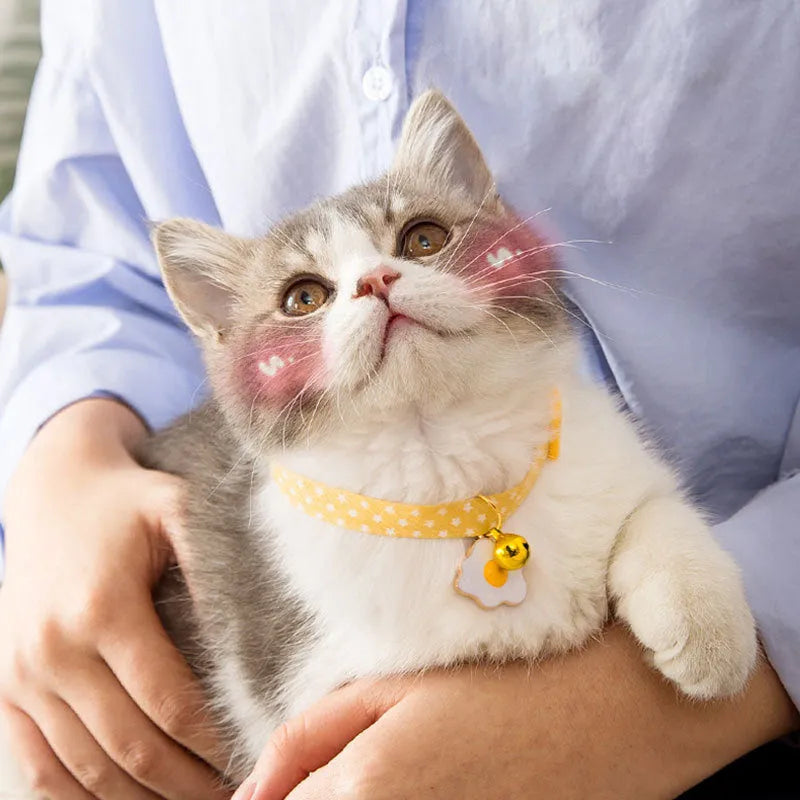 Green adjustable pet collar with a metal bell and a pink bow tie attached, shown on a small dog.