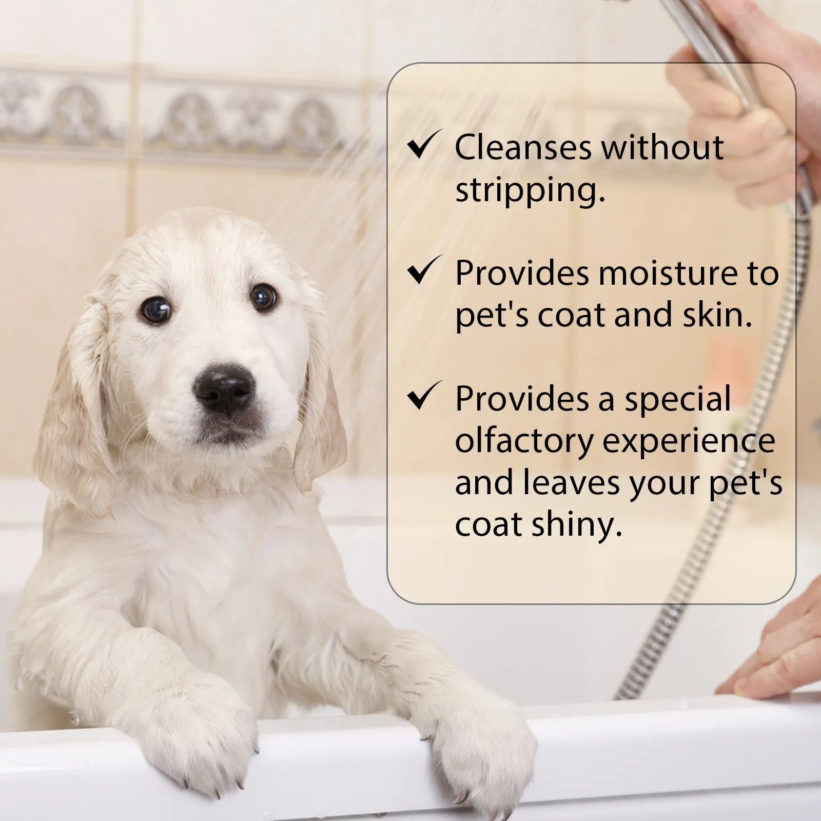 Pet shampoo bottle for dogs available in 100ml or 300ml sizes with mild formulation