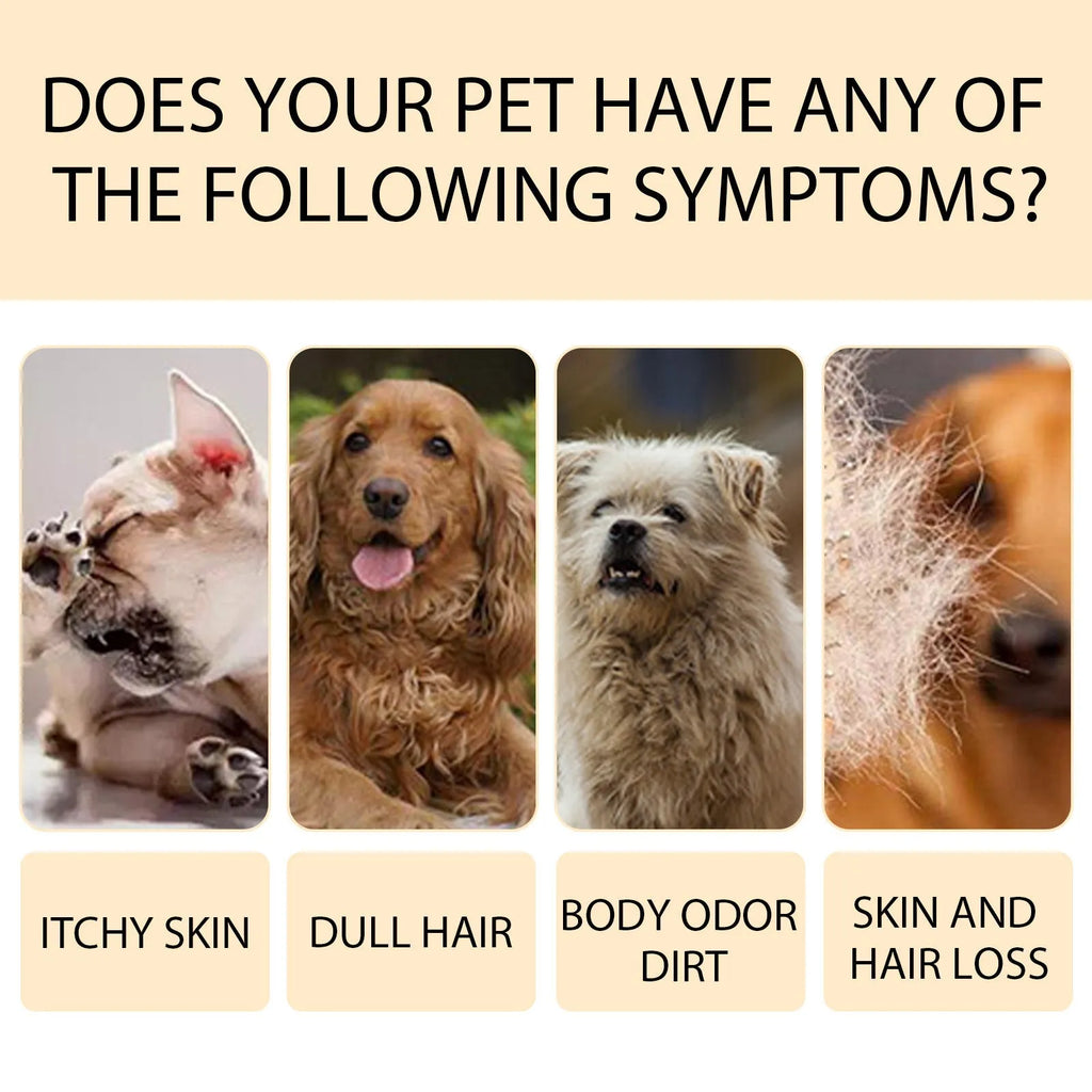 Pet shampoo bottle for dogs available in 100ml or 300ml sizes with mild formulation