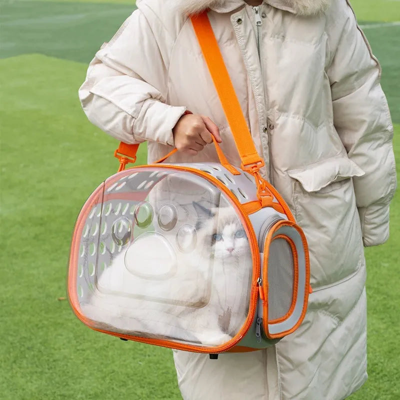 Transparent hard-shell cat backpack carrier showing interior space with colour options