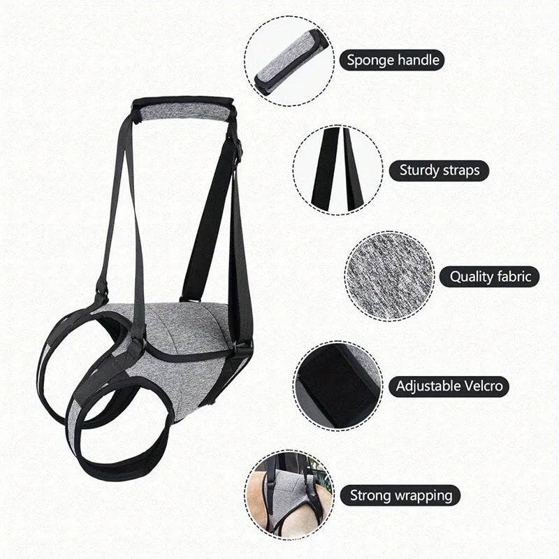 Grey neophene dog rear leg recovery support belt with adjustable waist and thigh straps
