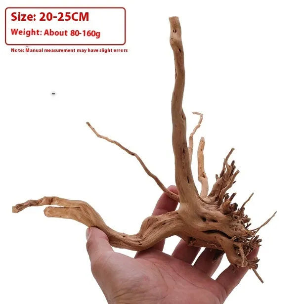 Xiaoqi root wood ornament for aquarium decoration on white background