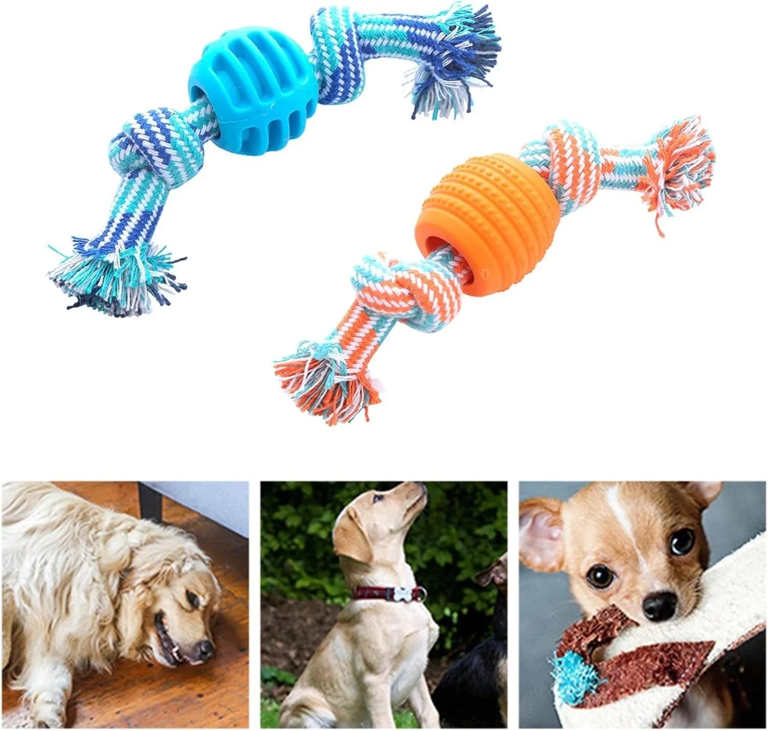 Blue dog chew toy with rope handles and textured molar surfaces for teeth cleaning