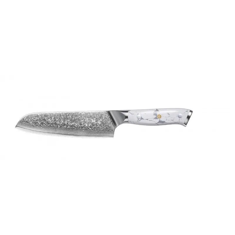 Damascus Special Combined Chef's Knife with 21cm VG10 blade and 32cm overall length