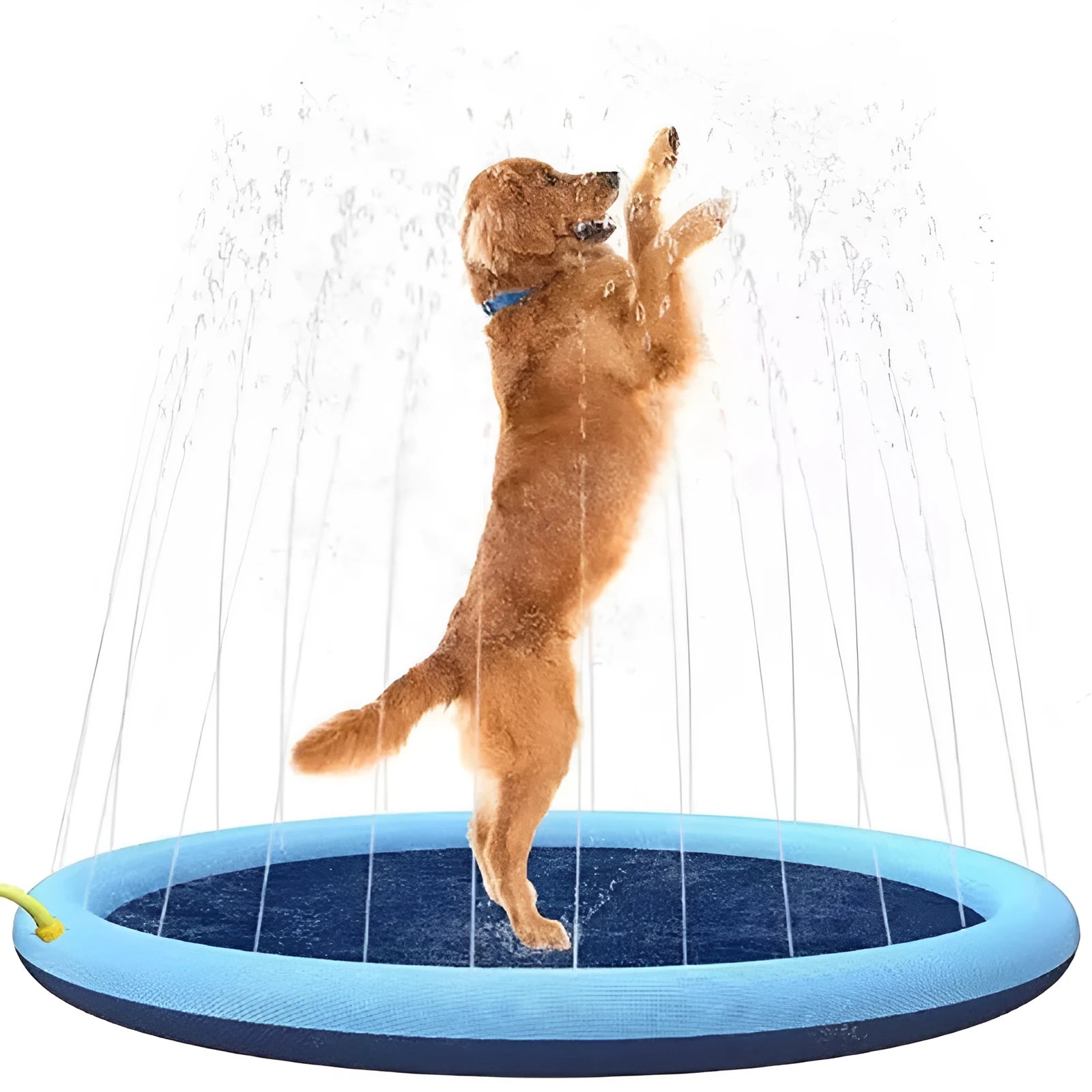 Blue inflatable dog sprinkler mat with water droplets on anti-slip surface, connected to a hose.