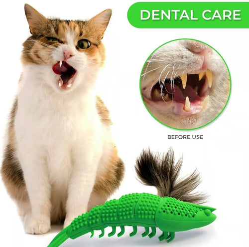 Blue cat tooth cleaning toy with 360-degree design and hard rubber construction