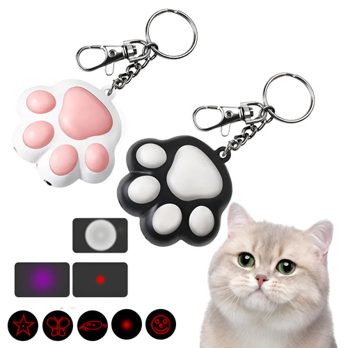 USB rechargeable infrared cat teaser toy with key chain in black or pink colours