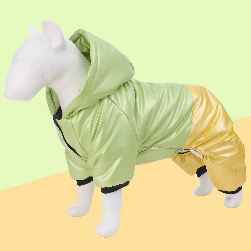 Green waterproof cotton-padded dog coat with four-legged design on medium-sized dog