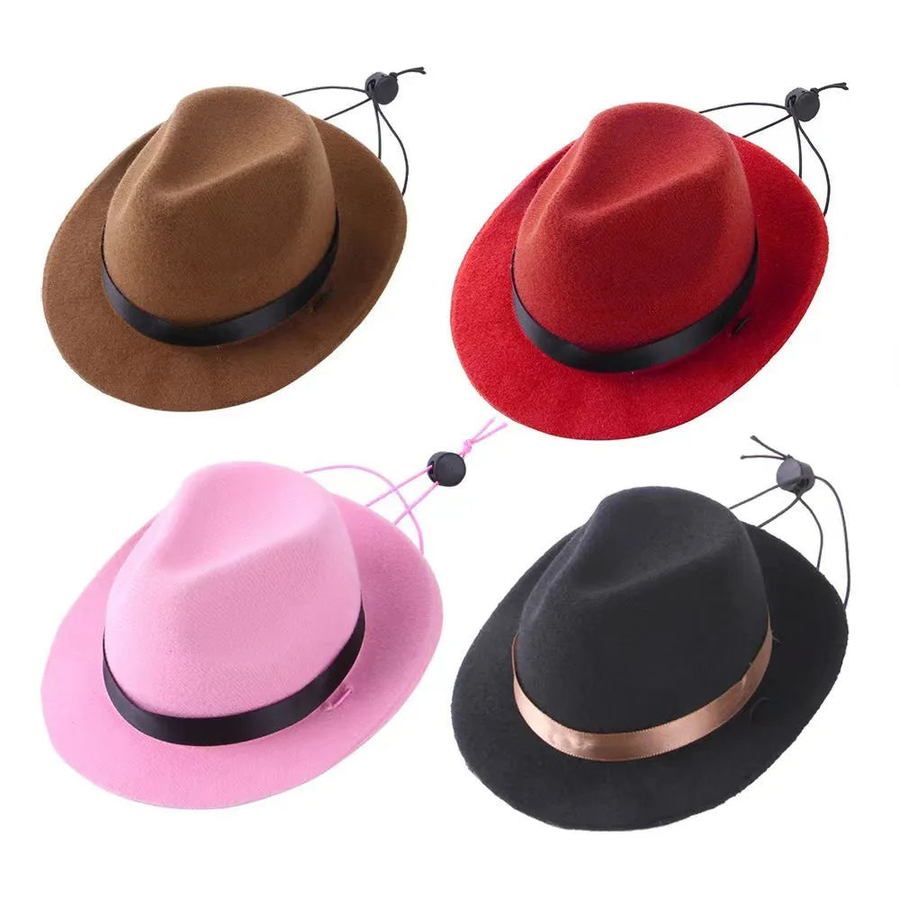 Wool felt pet hat in black colour with 155cm diameter for small dog costume accessory