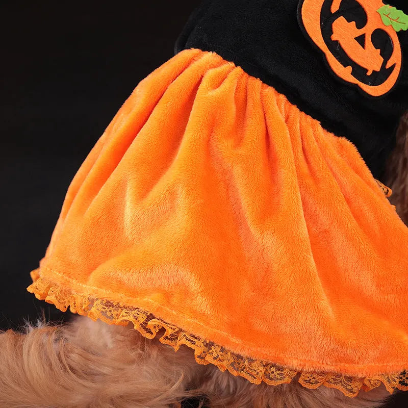 Small dog wearing an orange Halloween pumpkin skirt costume made of crystal velvet