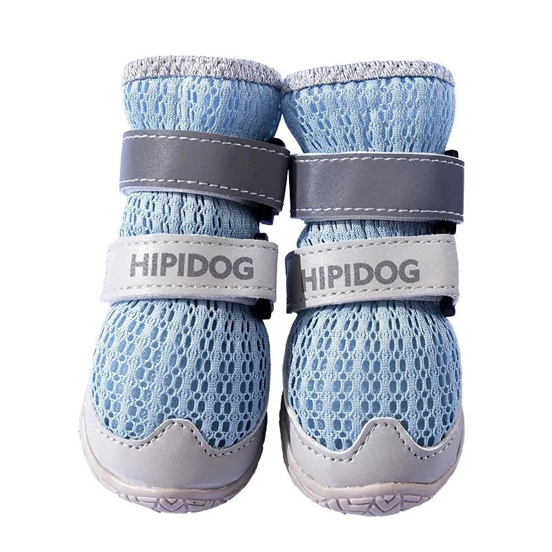 Cartoon style summer dog shoes in Bondi blue and Dean green colours on a white background.