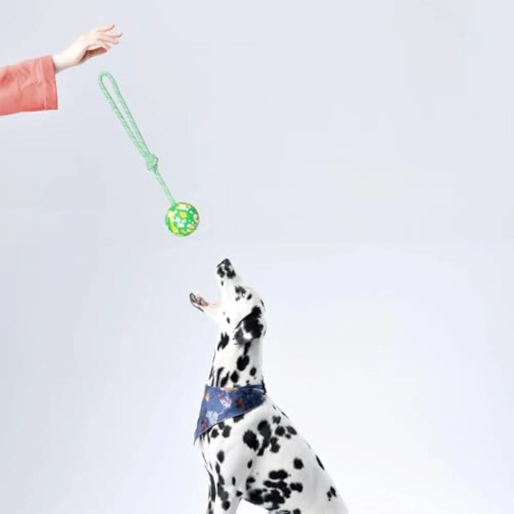 Natural rubber dog ball with nylon rope attached, suitable for fetch and tug games with medium small dogs