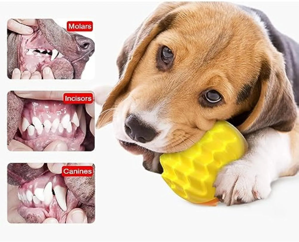 Blue or orange squeaky dog ball toy with spiky texture for dental cleaning and mental enrichment