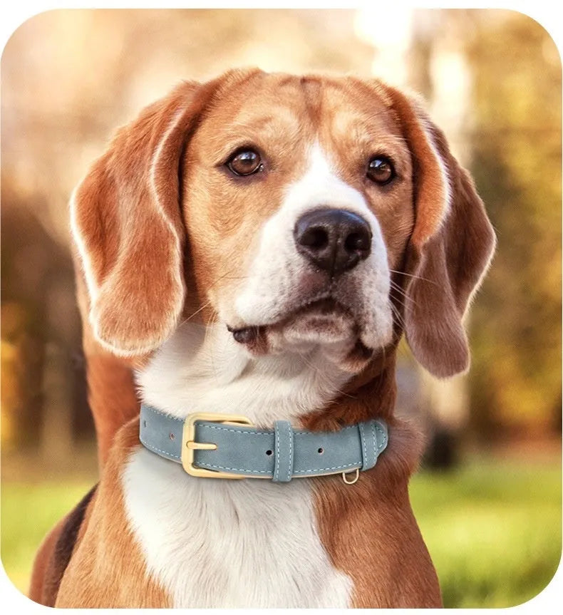 Leather dog collar with mohair lining in rose red, brown or blue with matching traction rope