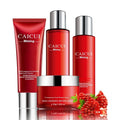 Red packaged pomegranate skincare set containing face wash, toner, lotion, and facial cream bottles.