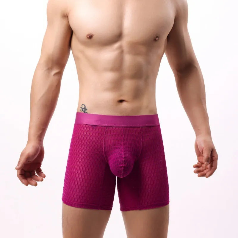 Men's low waist lace mesh boxer shorts in various colours on a white background.