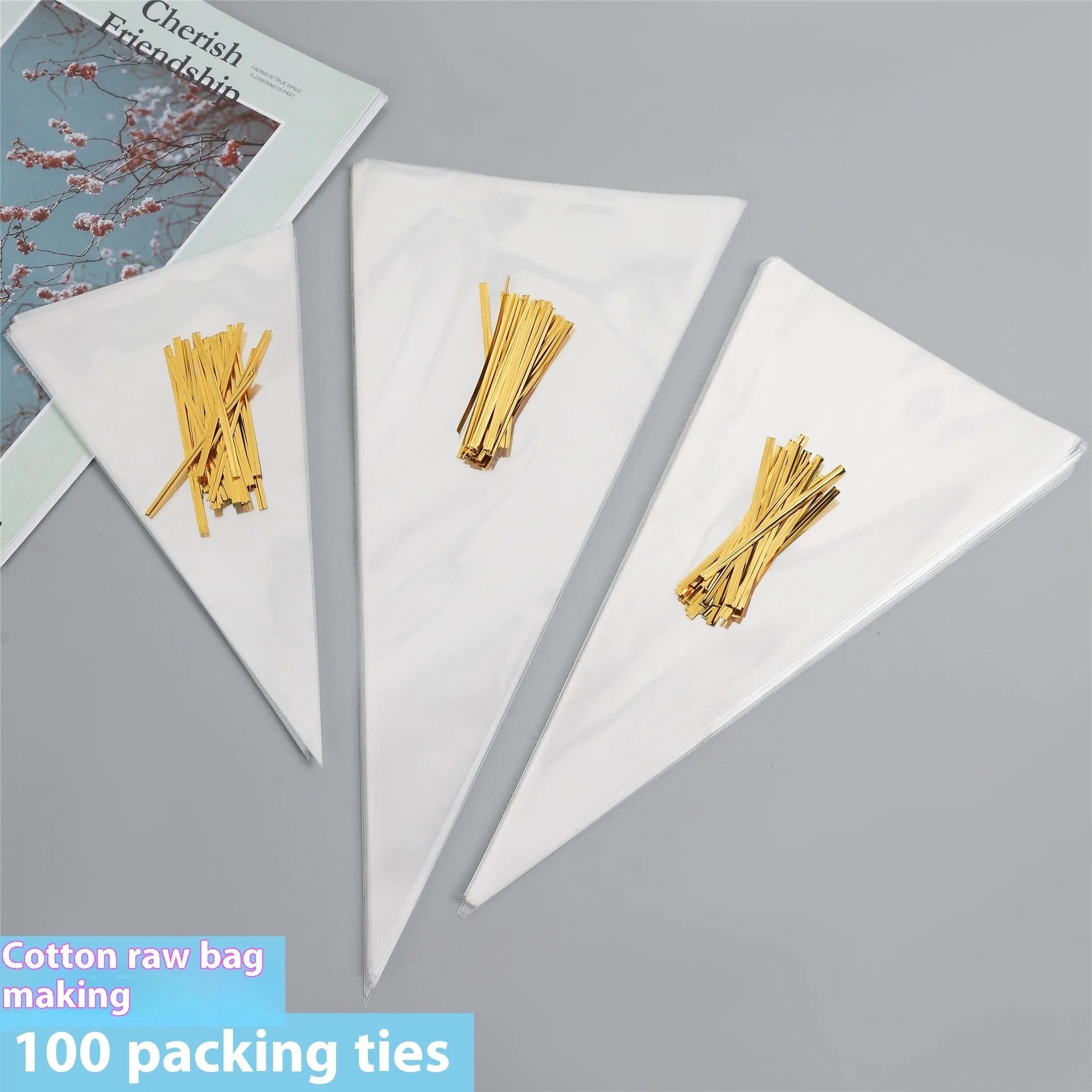 Triangle-shaped clear plastic packaging bag with a metallic tie wire closure.