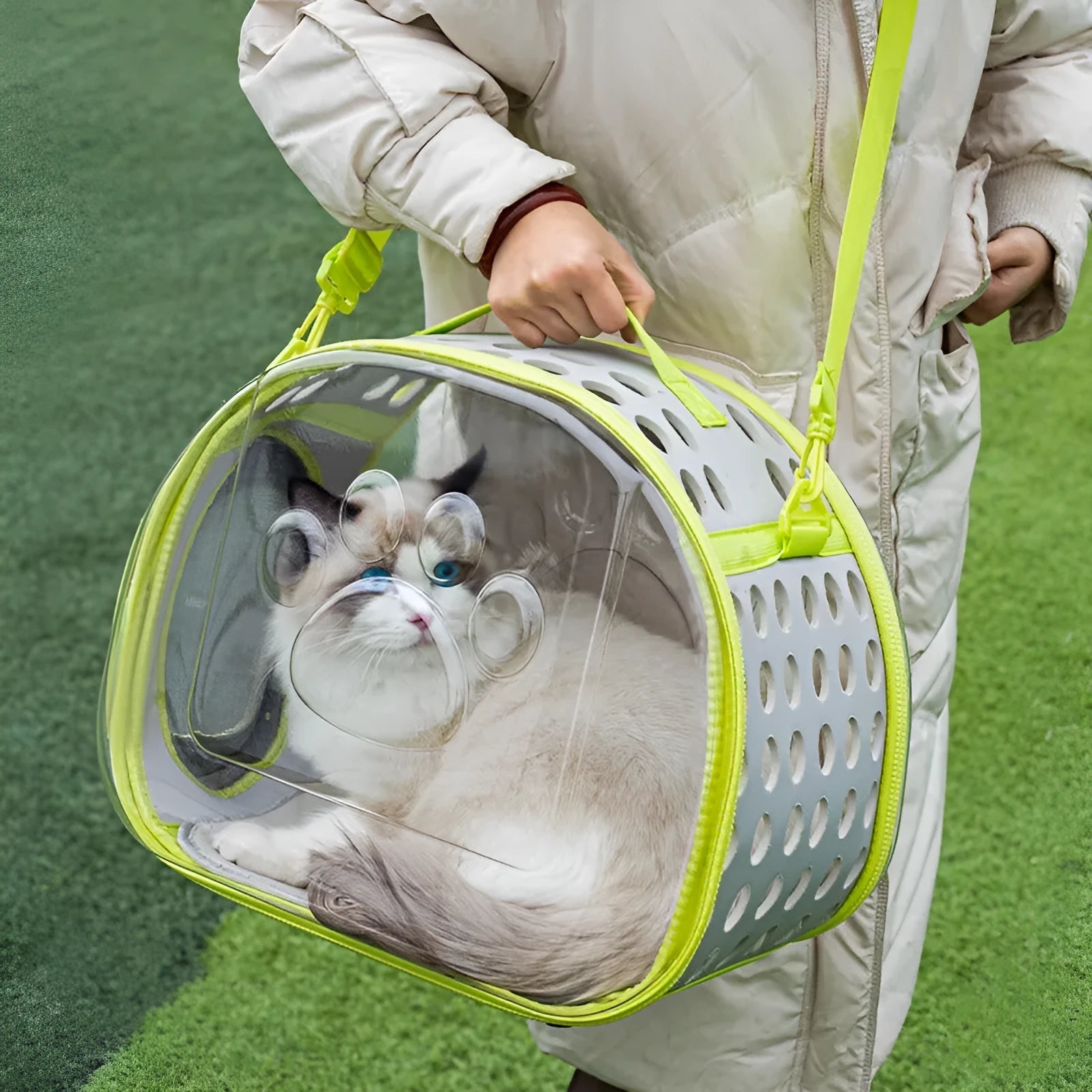 Transparent hard-shell cat backpack carrier showing interior space with colour options