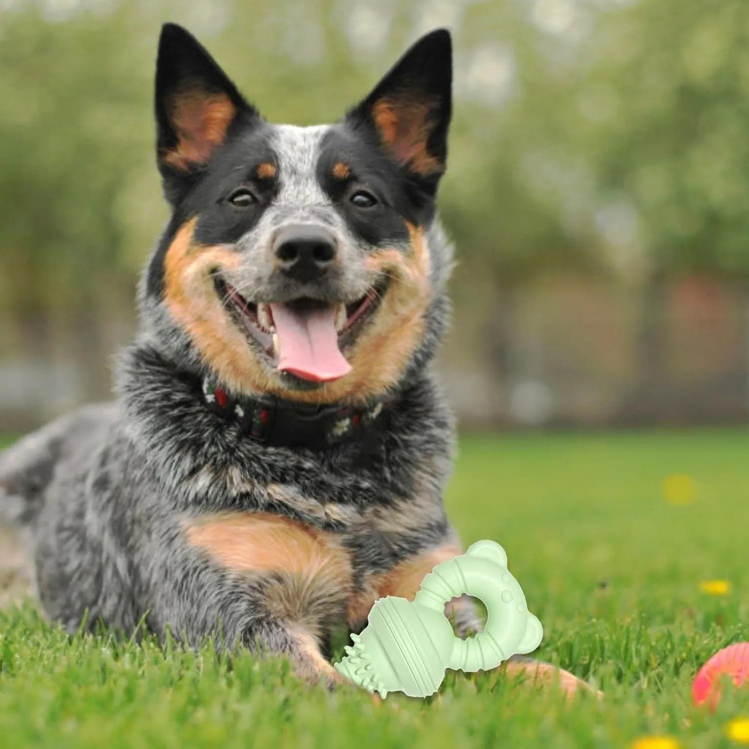 Blue rubber dog chew toy with textured surface and internal bell, shown next to a tape measure indicating 13.5 cm length.