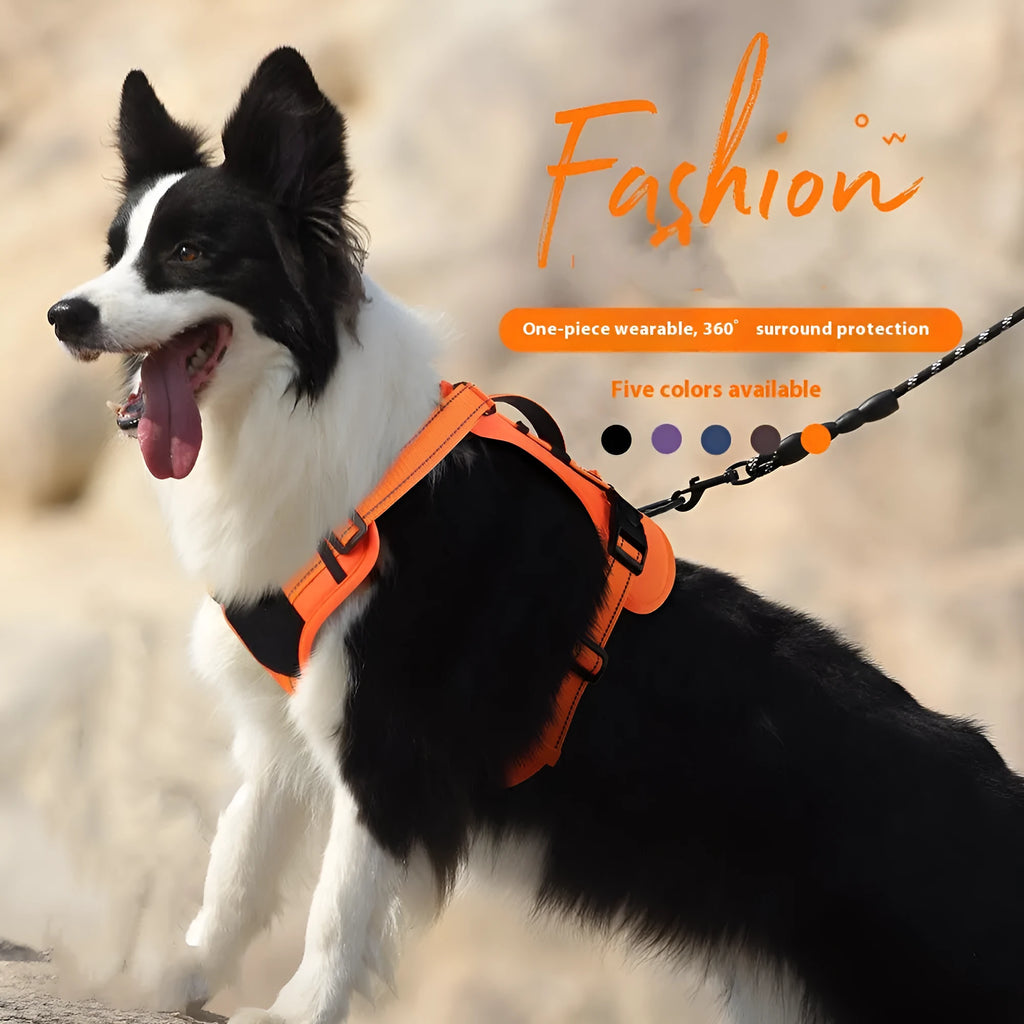Reflective dog harness and hand-holding lead set in orange and black, showing the chest strap and full-handle grip.