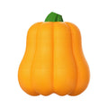 Orange pumpkin-shaped plastic dog toy with rope attachment for outdoor fetch games