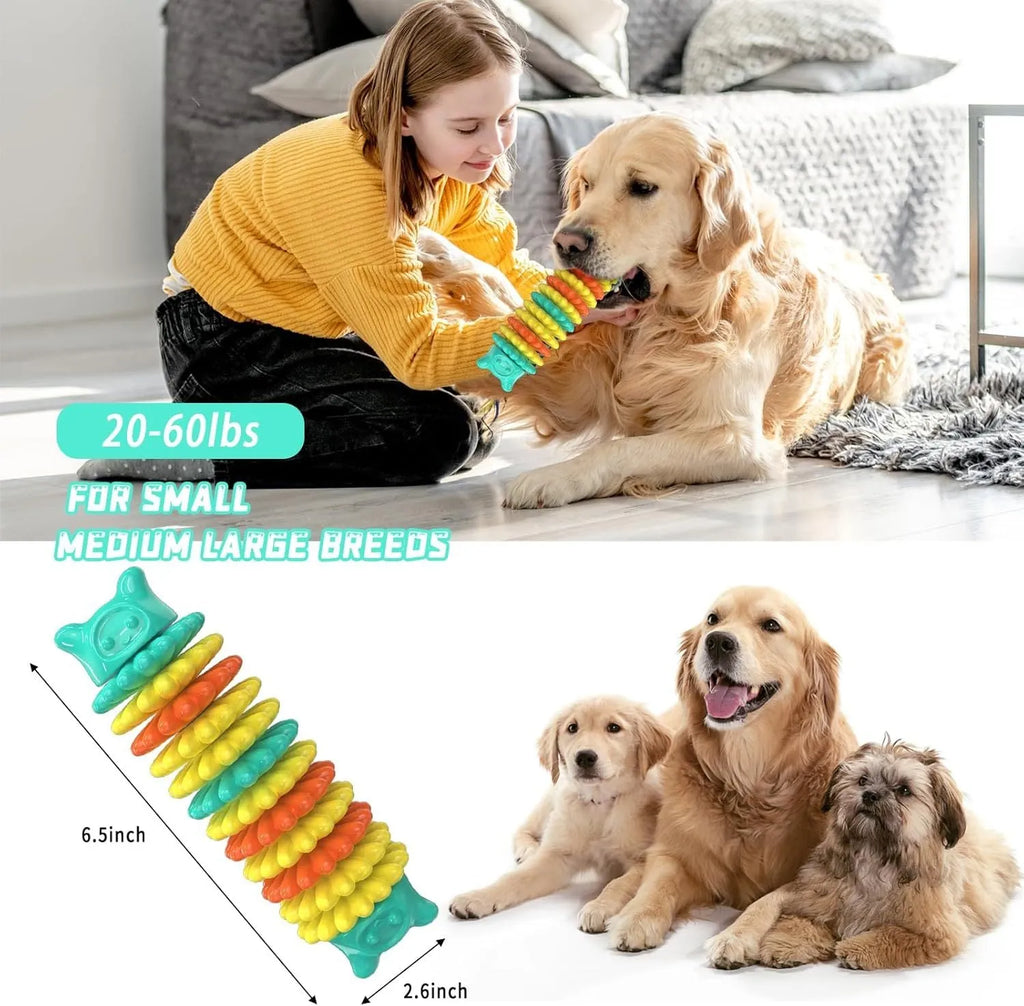 Blue, green, and pink caterpillar-shaped natural rubber dog chew toy on a white background.