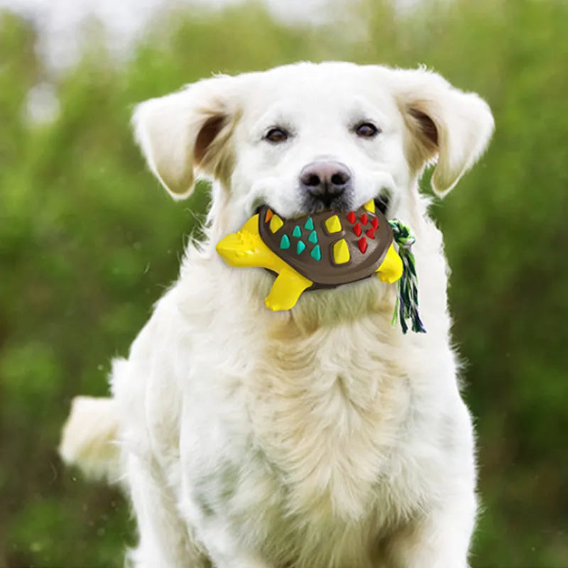 Natural rubber mint dog toothbrush chew toy with dinosaur knot tail in two-tone colours.
