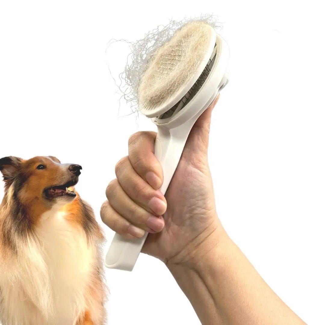 Blue self-cleaning pet grooming brush with ergonomic rubber handle on a white background