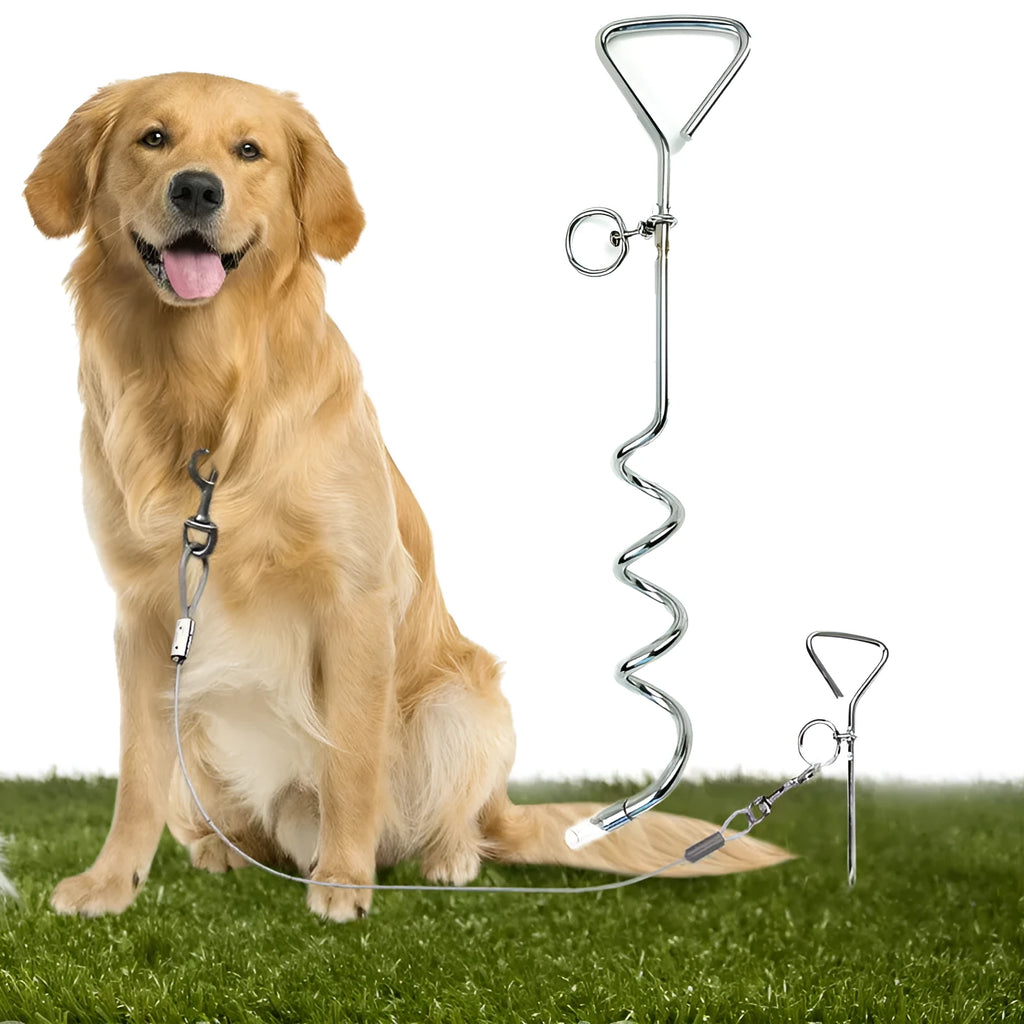Medium silver spiral dog tie out stake made of steel for secure outdoor tethering