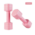 Detachable ABS plastic dumbbell set for women's fitness in choice of four colours