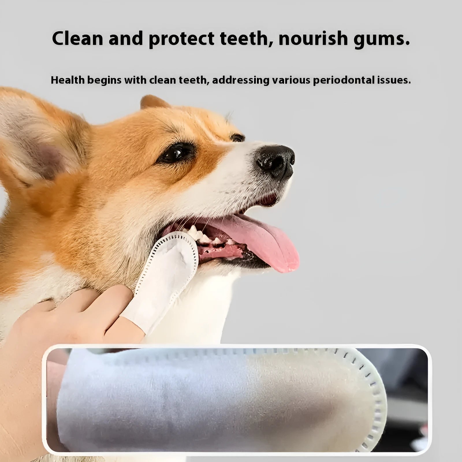 50-piece non-woven pet dental finger stall set for cat and dog teeth cleaning