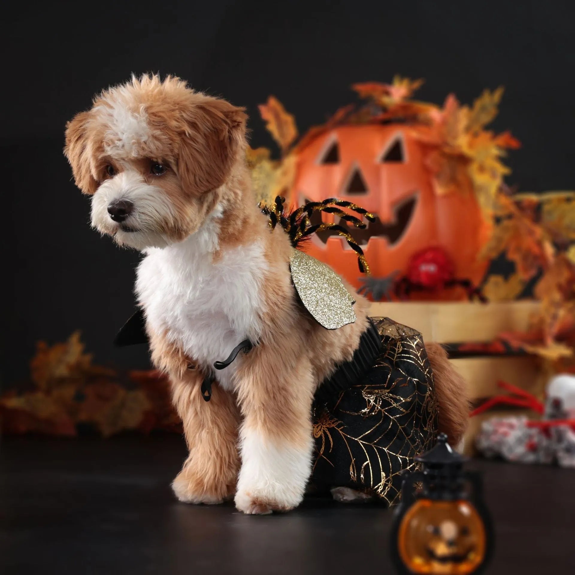 Polyester dog Halloween costume suit shown in pet clothing sizes S, M, L, and XL