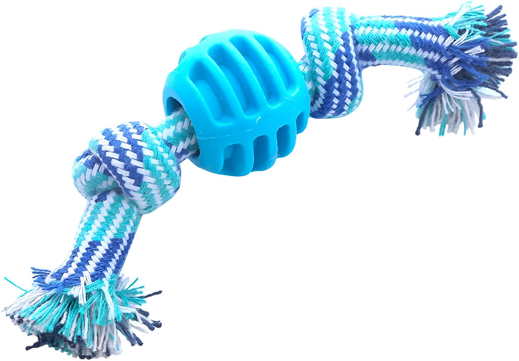 Blue dog chew toy with rope handles and textured molar surfaces for teeth cleaning