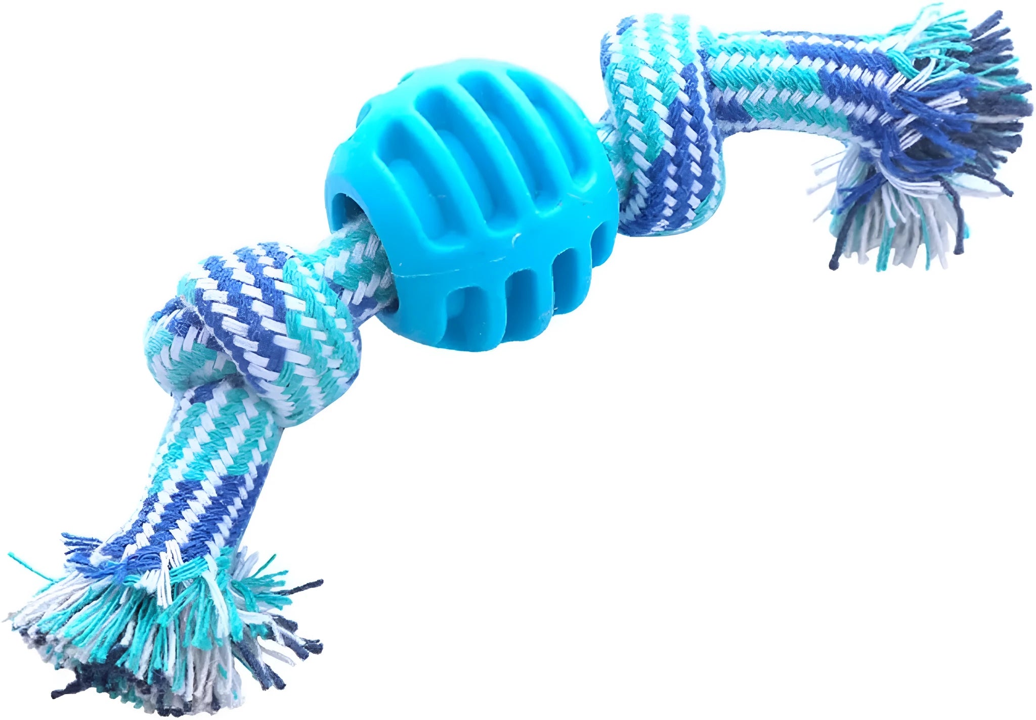 Blue dog chew toy with rope handles and textured molar surfaces for teeth cleaning