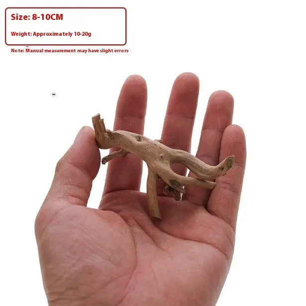 Xiaoqi root wood ornament for aquarium decoration on white background
