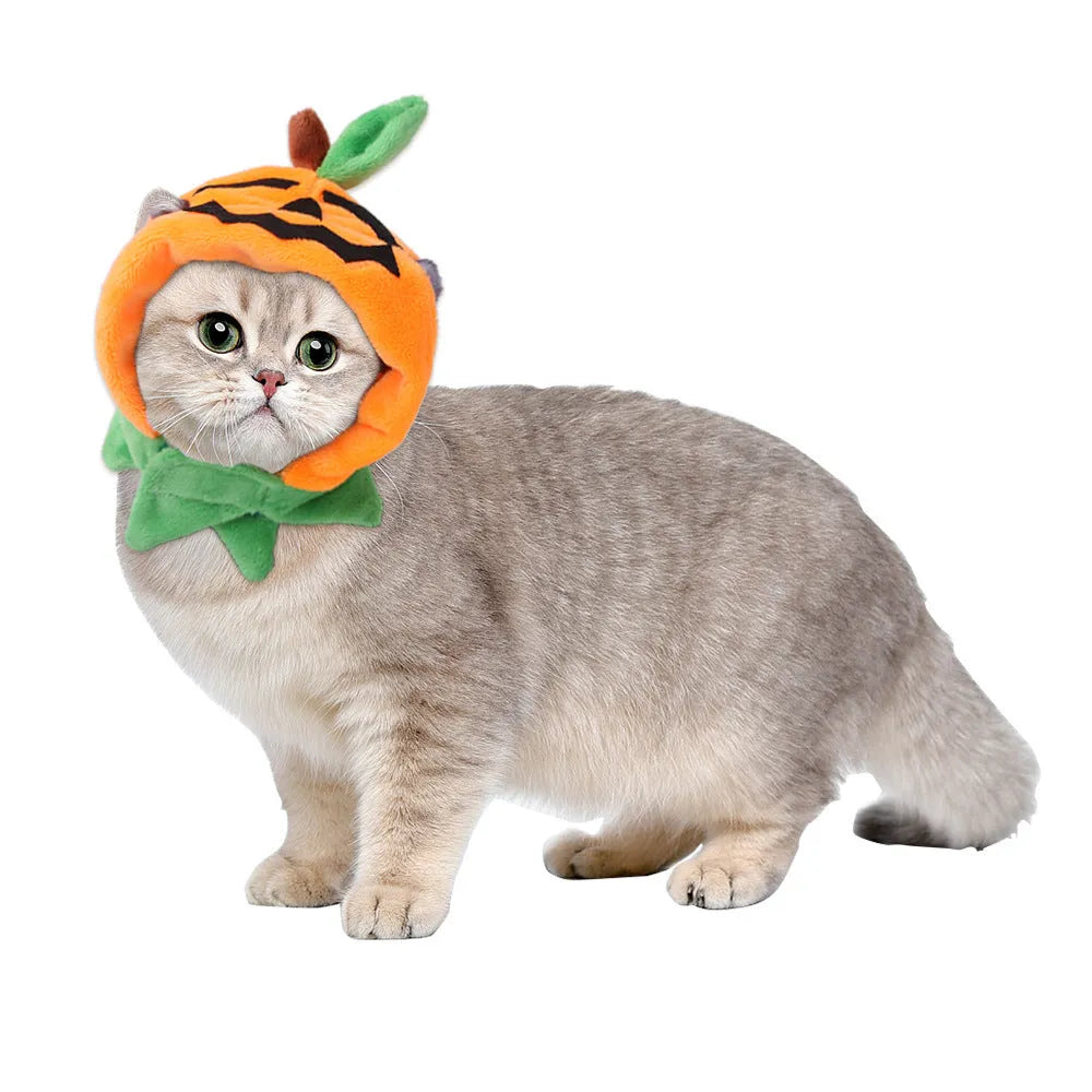Orange plush Halloween cloak with pumpkin design on a dog, showing cloak and matching hat options.