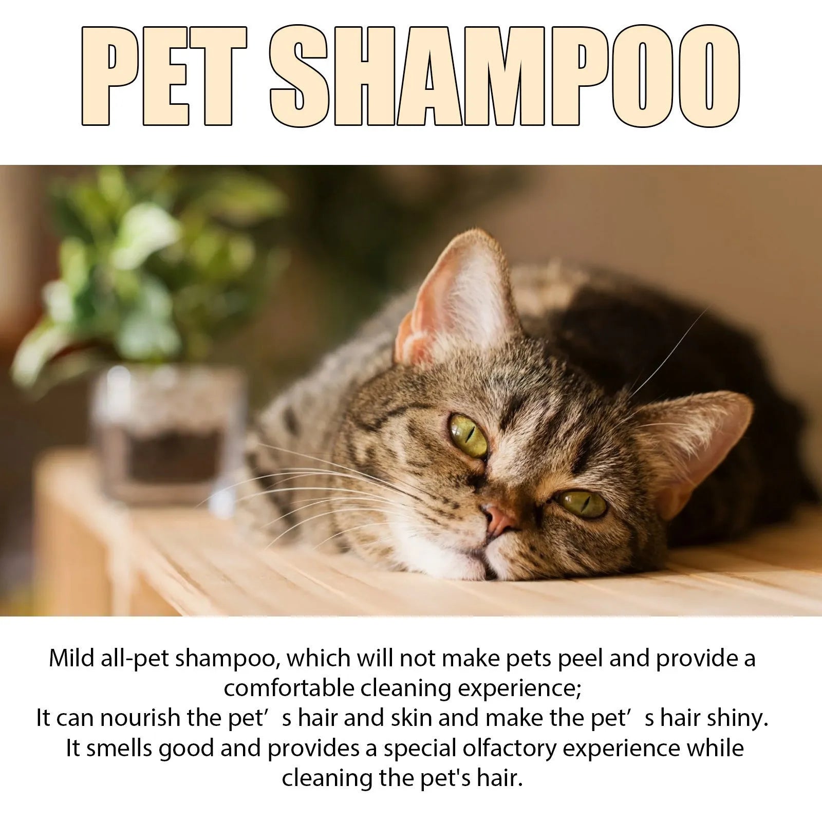 Pet shampoo bottle for dogs available in 100ml or 300ml sizes with mild formulation
