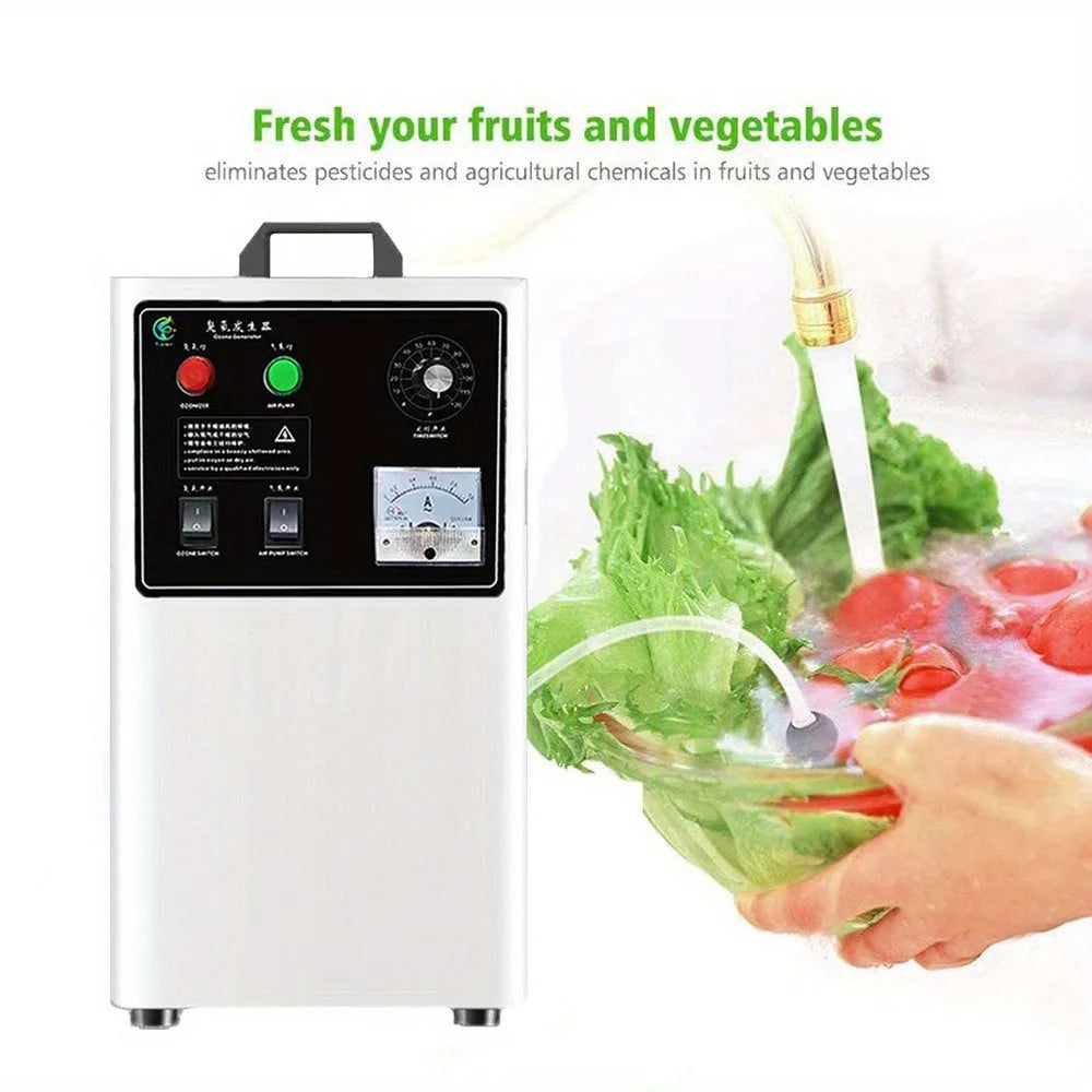 Fruit and vegetable ozone generator with 20g/h output in white or stainless steel housing