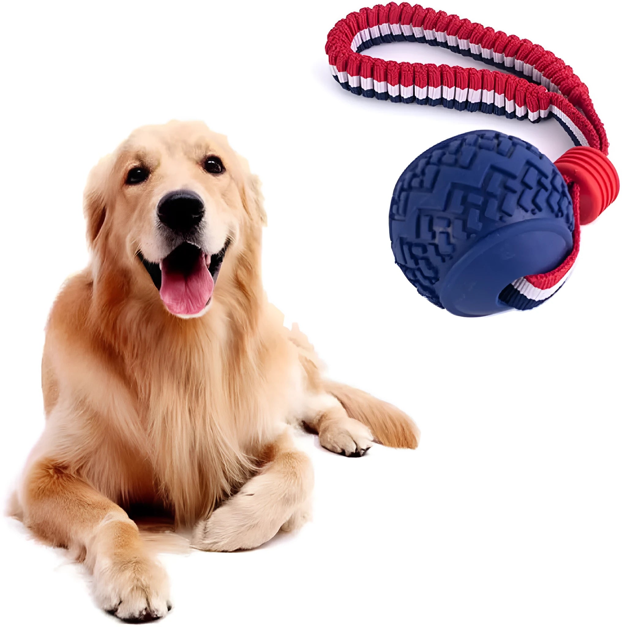 Blue dog ball with rope toy showing 6.5cm diameter ball and cotton rope handle for small dogs