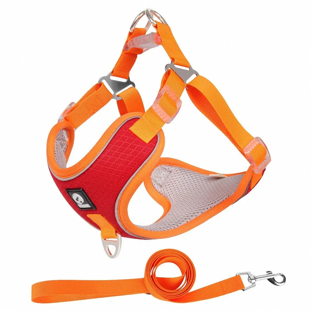 Adjustable breathable mesh dog harness with reflective piping in black colour showing chest strap design