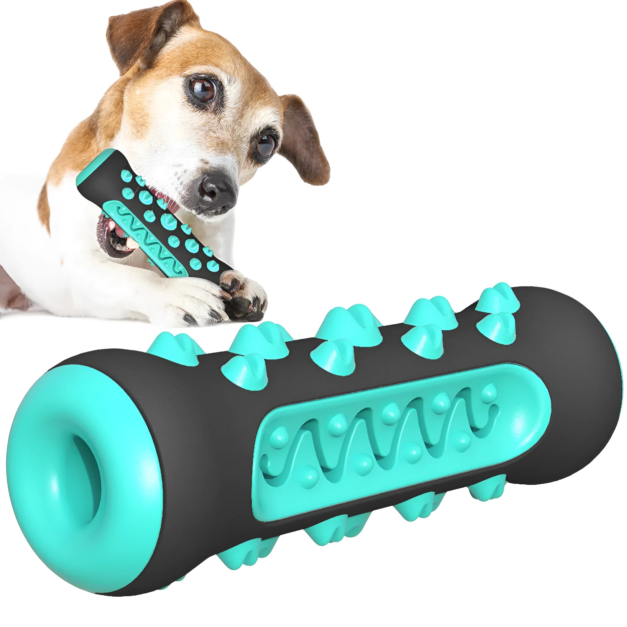 Natural rubber dog toothbrush chew toy in blue, shown next to a small dog for scale